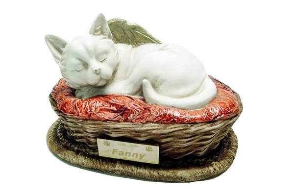 3-gato-anjo-colorido