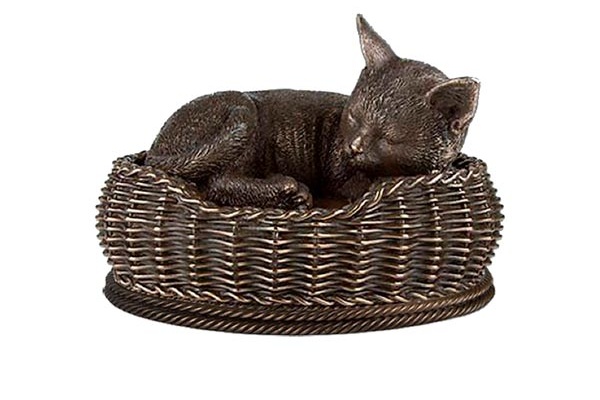 9-urna-gato-dormindo-cesta-de-bronze