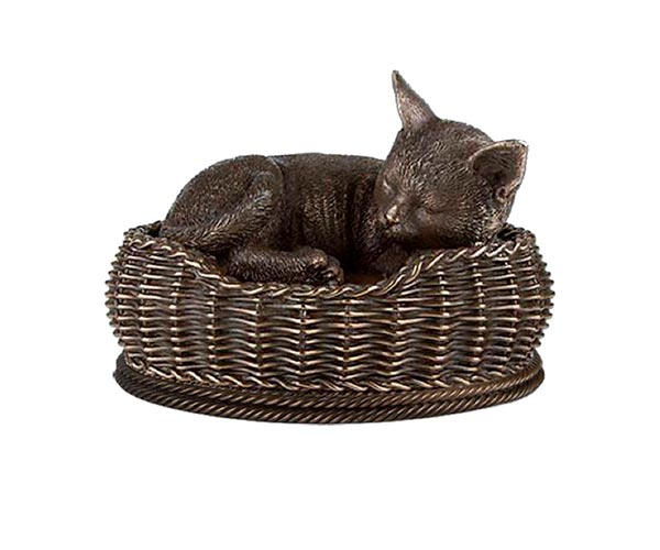 9-urna-gato-dormindo-cesta-de-bronze